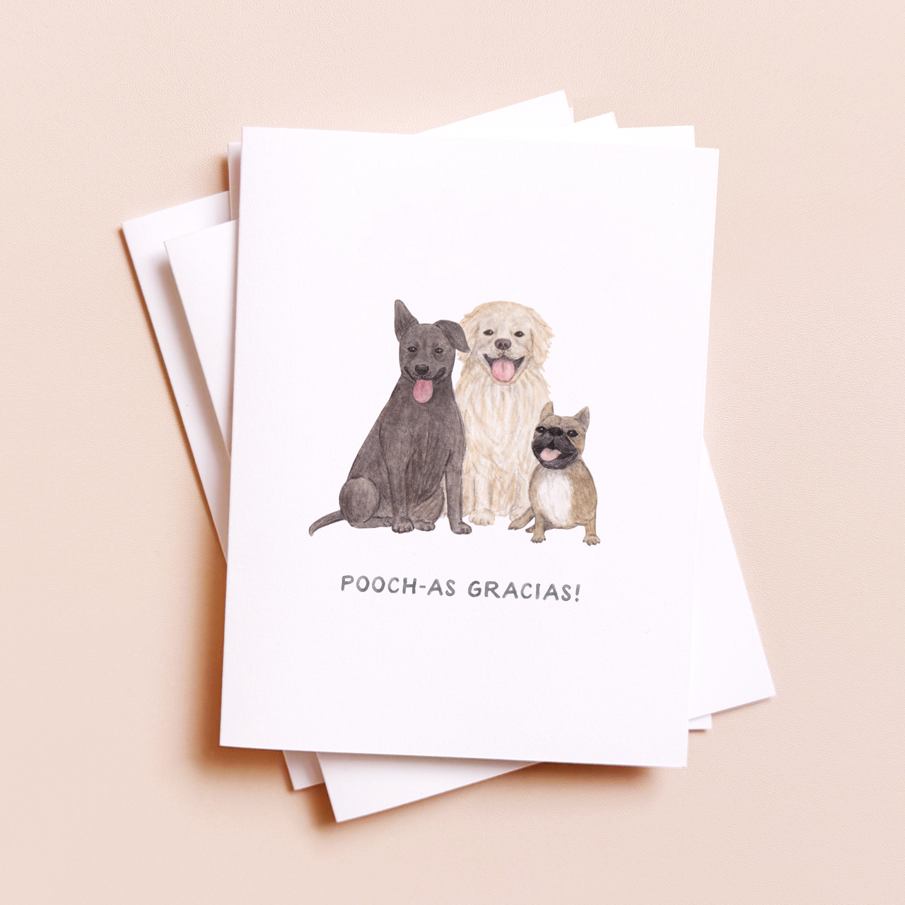 Pooch-as Gracias