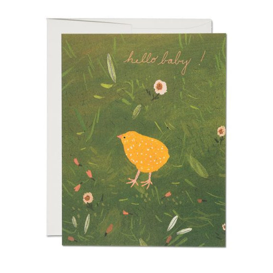 Baby Chick