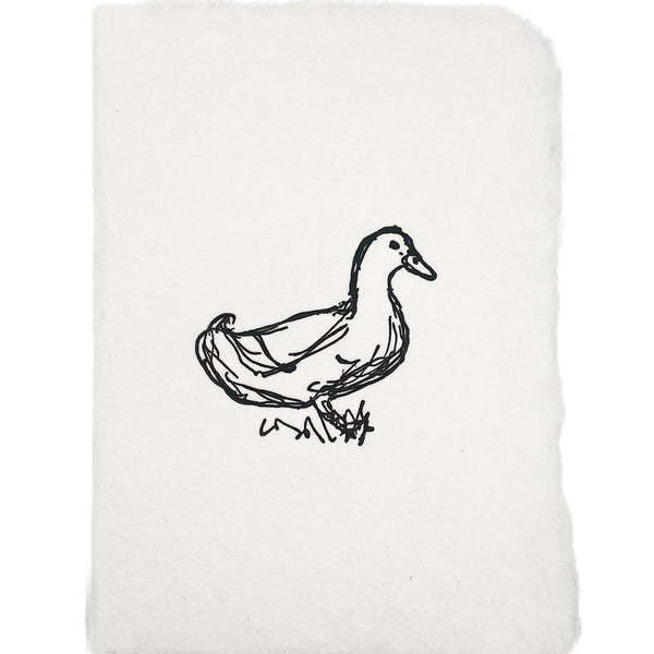 Duck Sketch