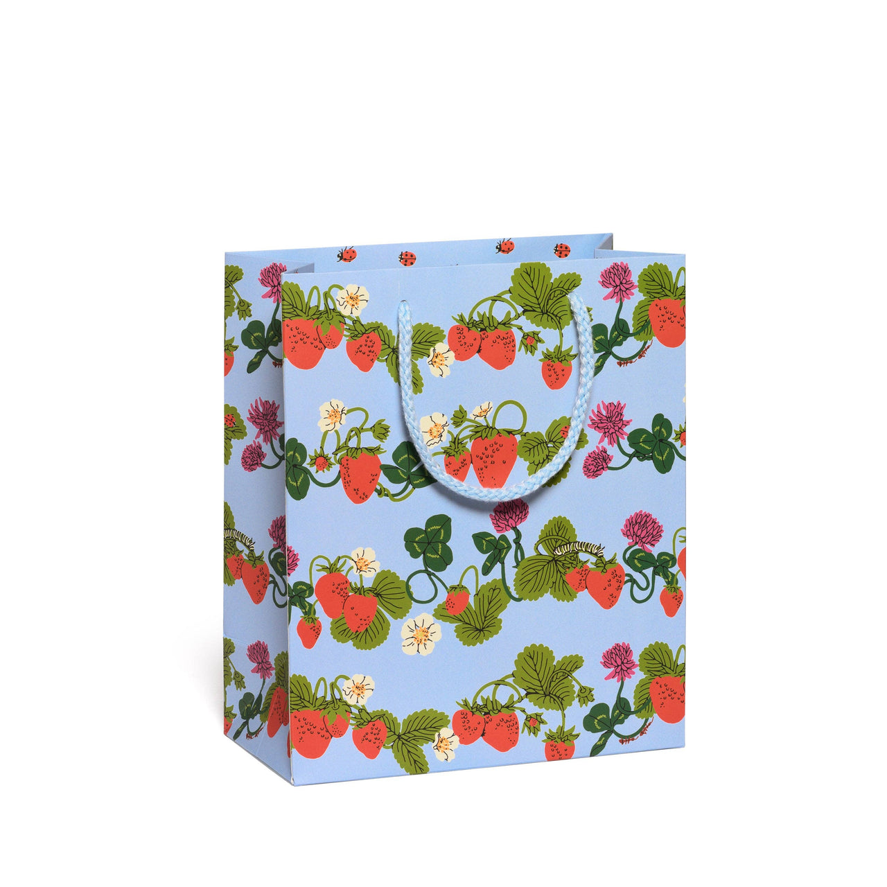 Berries and Bugs Gift Bag