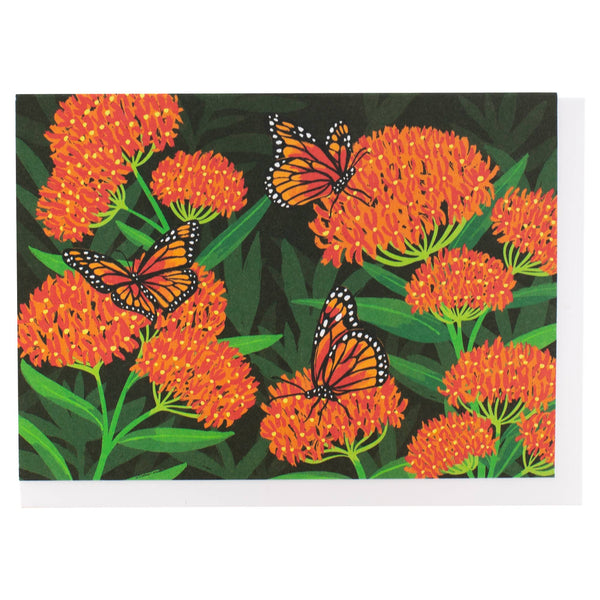 Butterfly Milkweed Box of 10 Cards