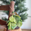 Felt Mistletoe Sprig Ornament