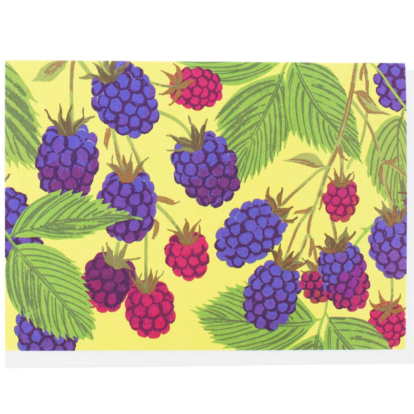 Blackberries Note Set of 10