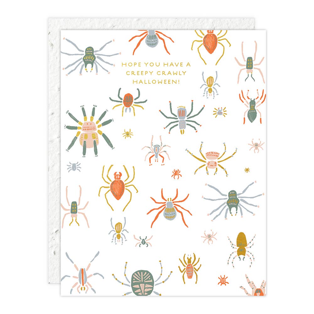 Spiders