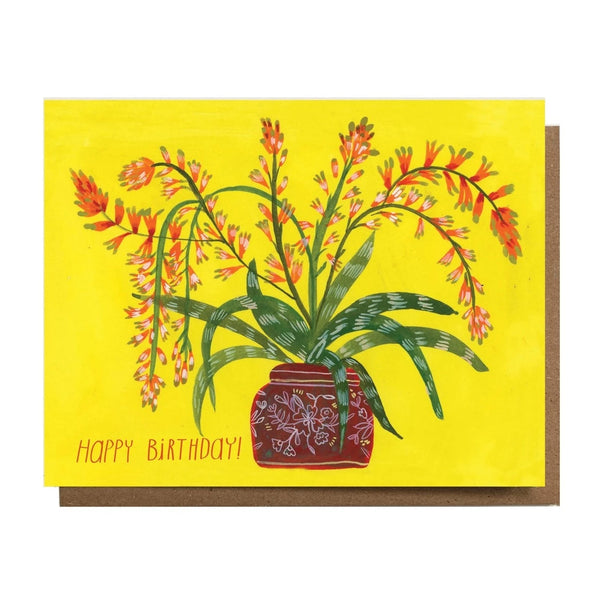 Happy Birthday Cactus