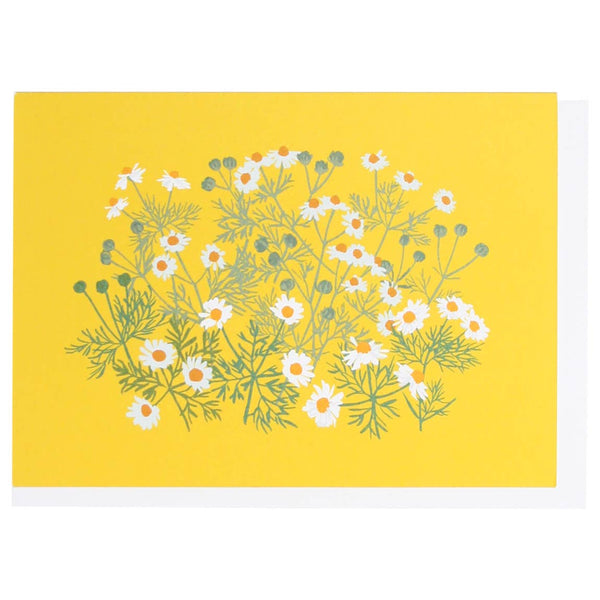 Chamomile Box of 10 Cards