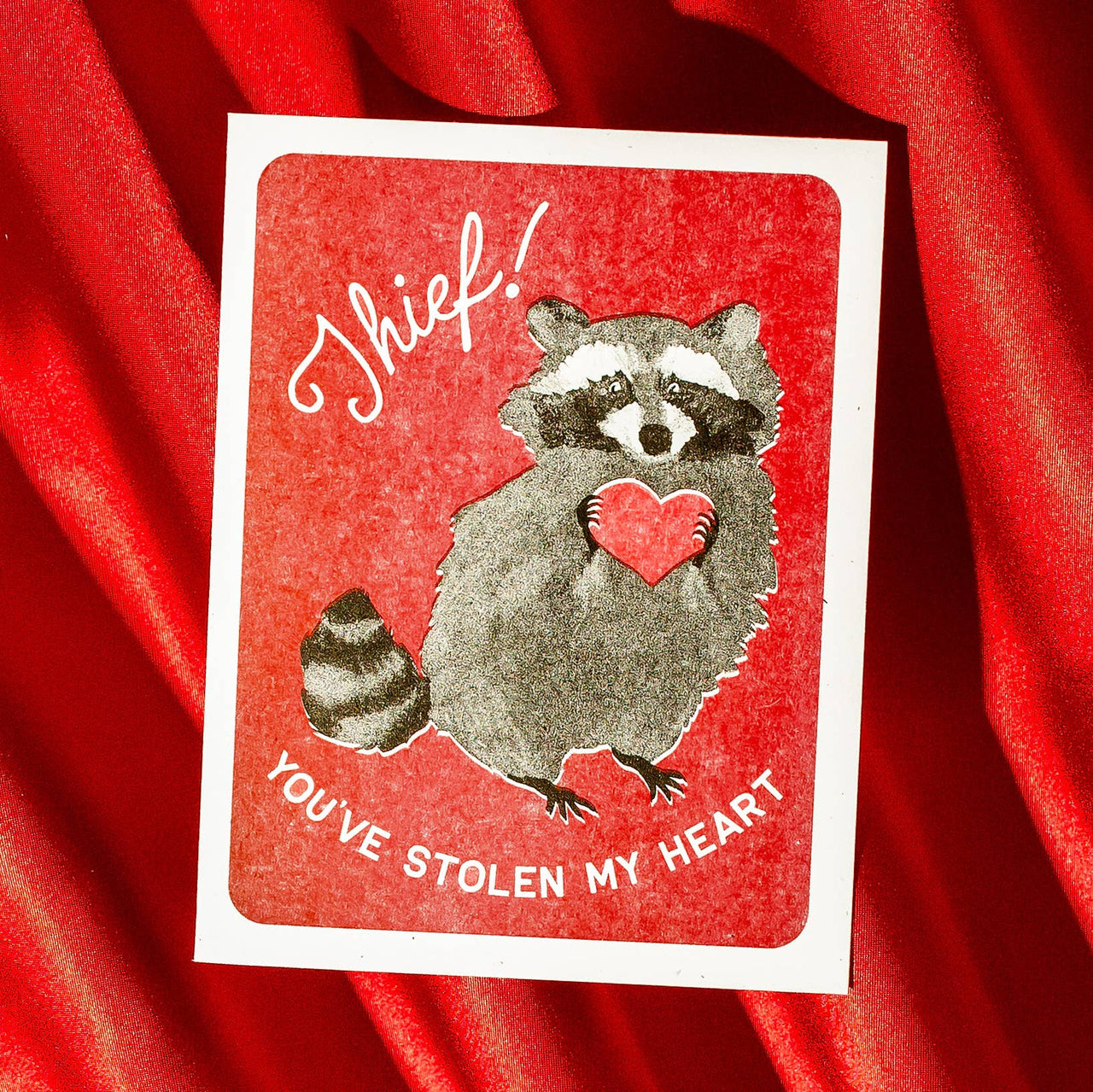 Thief! Raccoon