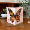 Monarch Butterfly Birthday