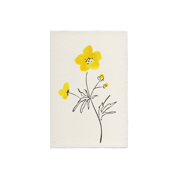 Buttercup Floral