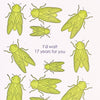 Cicadas