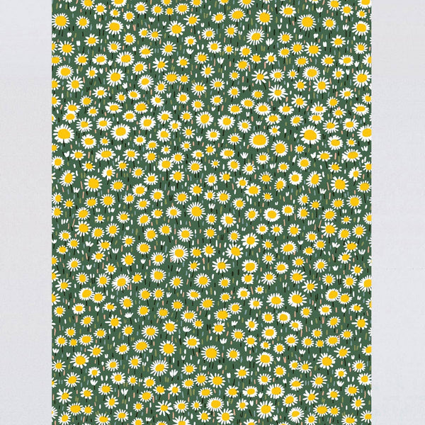 Daisies Gift Wrap
