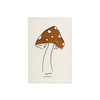 Toadstool