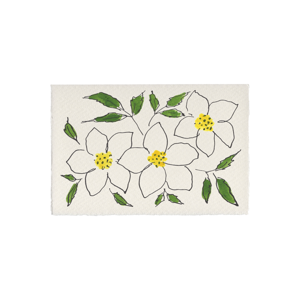 Hellebores Flower