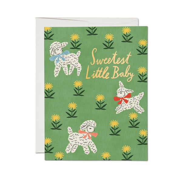 Little Lamb