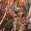 Beaded Bird Ornament