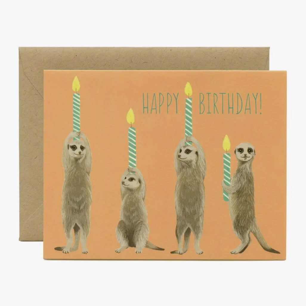 Meerkat Birthday