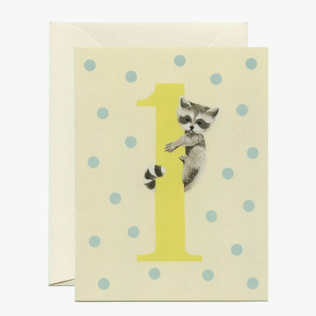 Baby Raccoon 1st Birthday