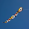 Comet Kite