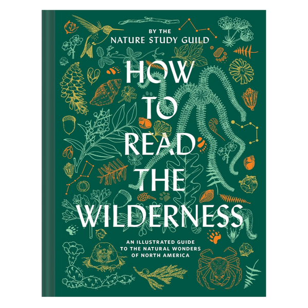 How To Read The Wilderness