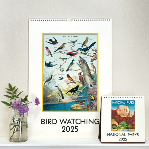 Cavallini 2025 Wall Calendars