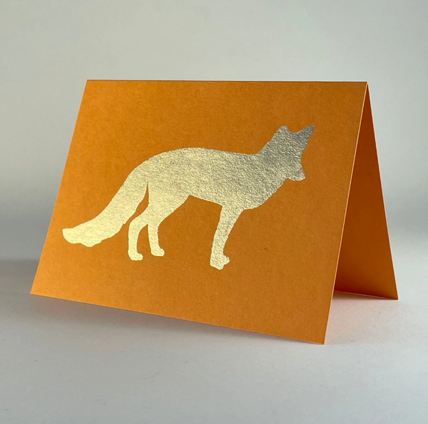 Fox, Orange Fizz