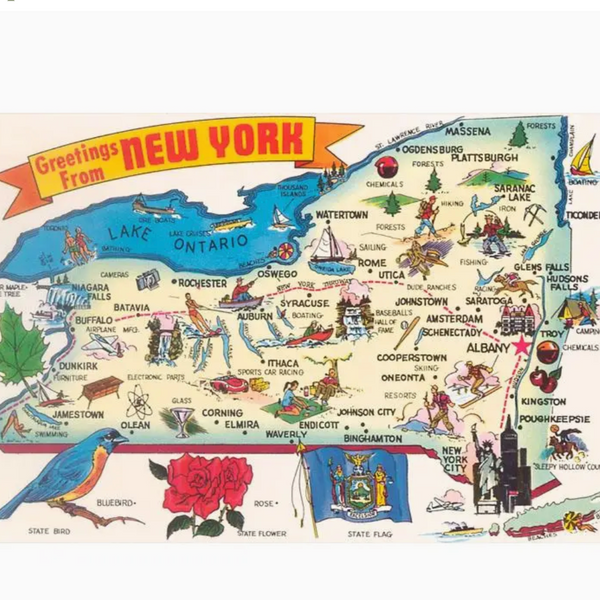 NS-918 Greetings from New York Postcard