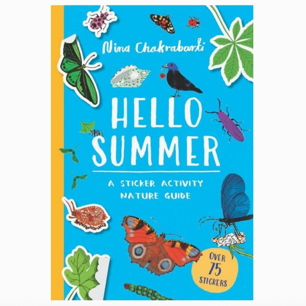 Hello Summer Sticker Activity Book