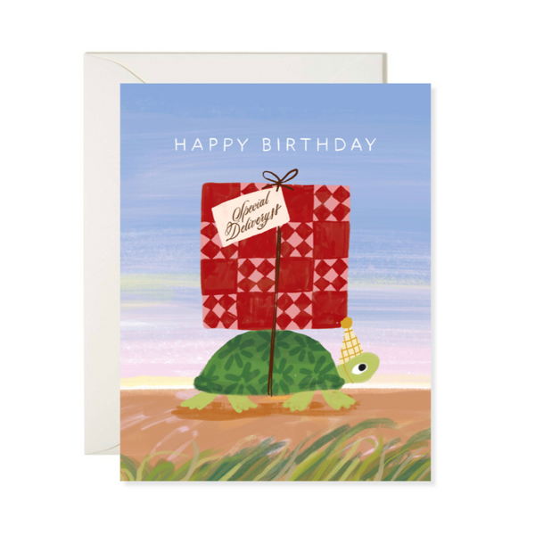 Turtle Delivery Birthday