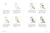 Birds in Watercolour