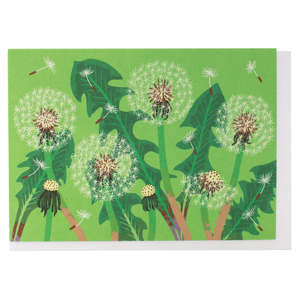 Dandelion Puffs Box of 10 Cards