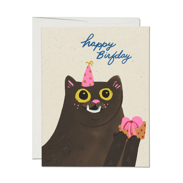 Birfday Cat