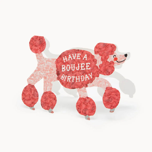 Boujee Birthday Poodle