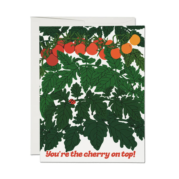 Cherry Tomatoes