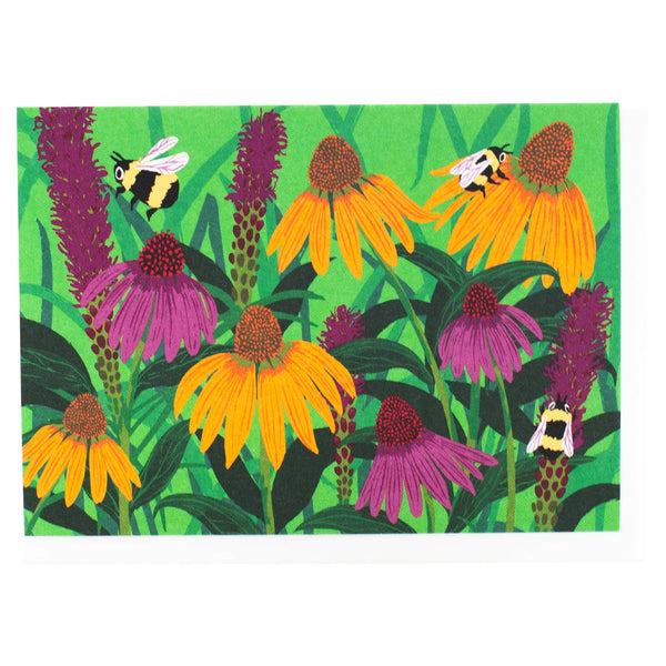 Echinacea & Blazing Stars Box of 10 Cards