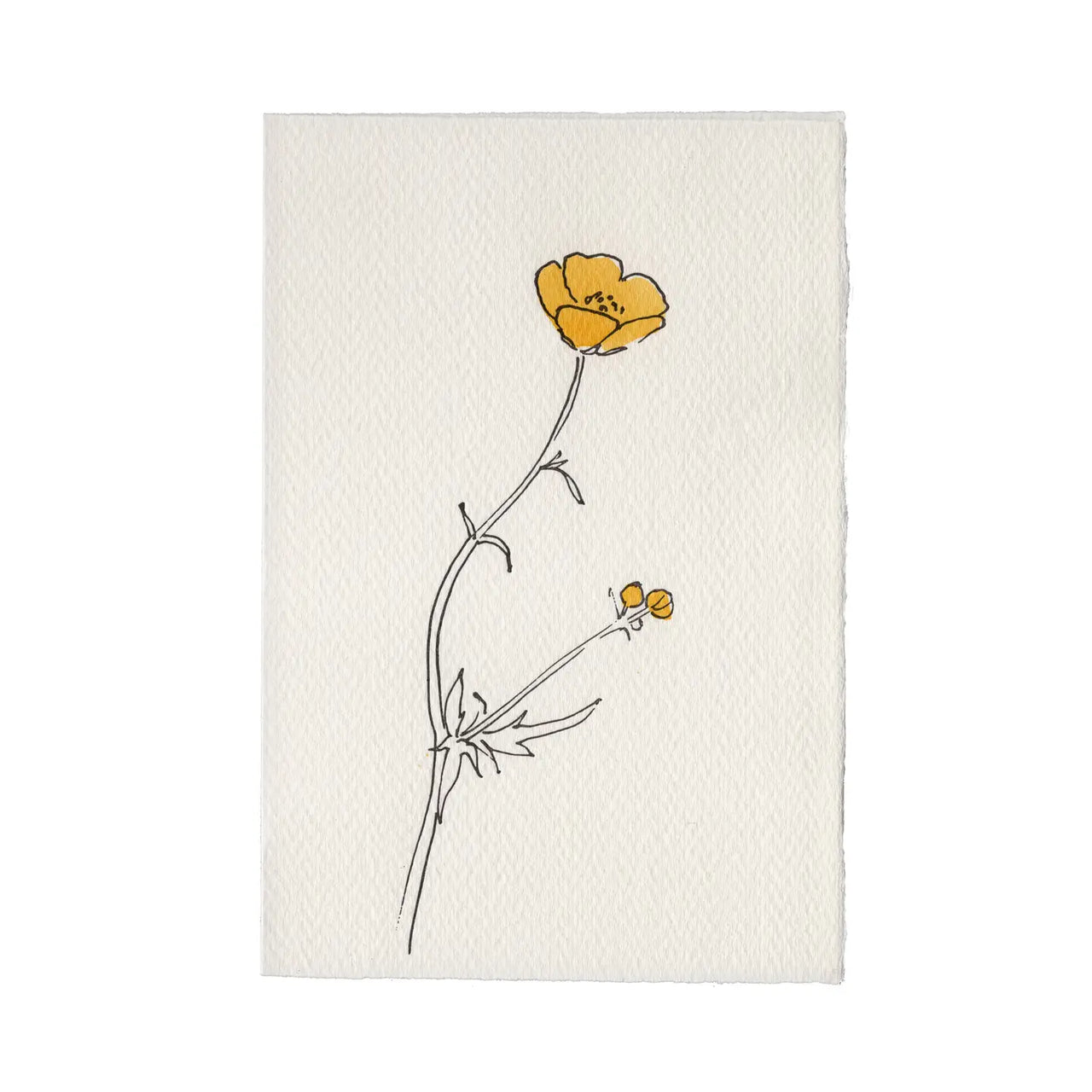 Buttercup