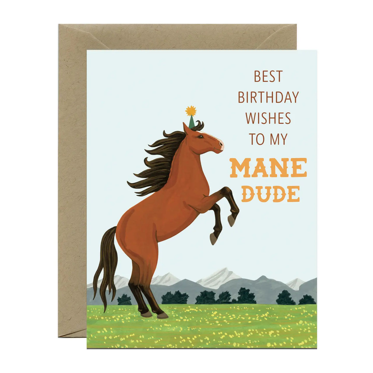 Mane Dude Horse Birthday