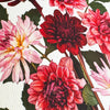 Garden Dahlias