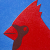 Happy Bird Day