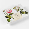 Pepin Correspondence Sets