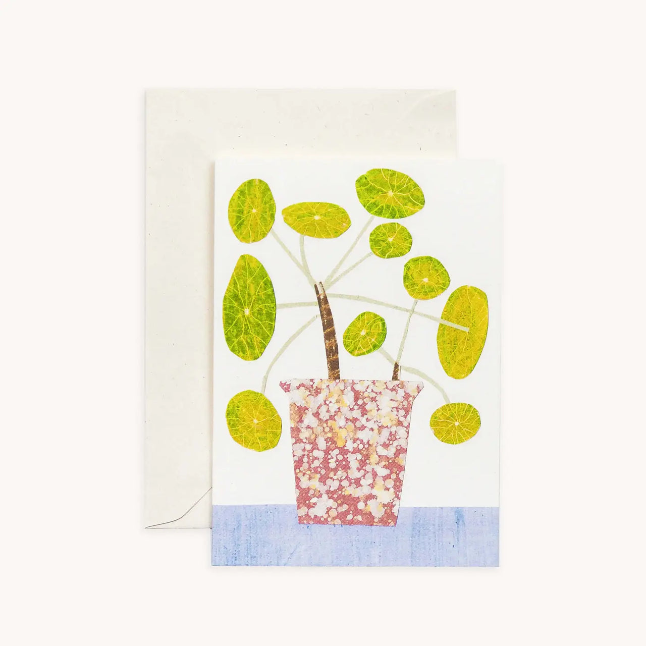 Pilea Pepermioides Bobble Plant Card