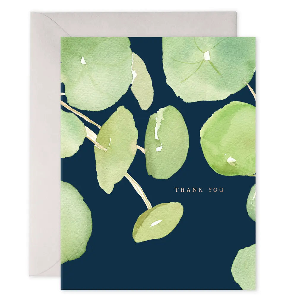 Pancake Plant Thank You - Boxed Set of 6