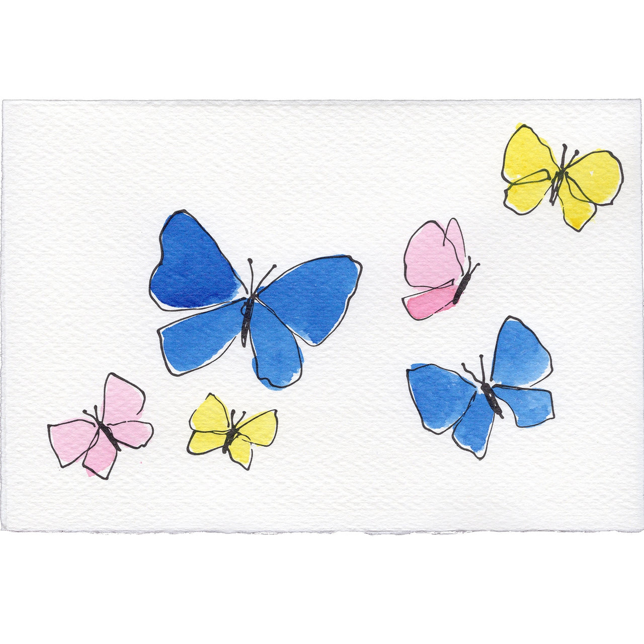 Butterflies