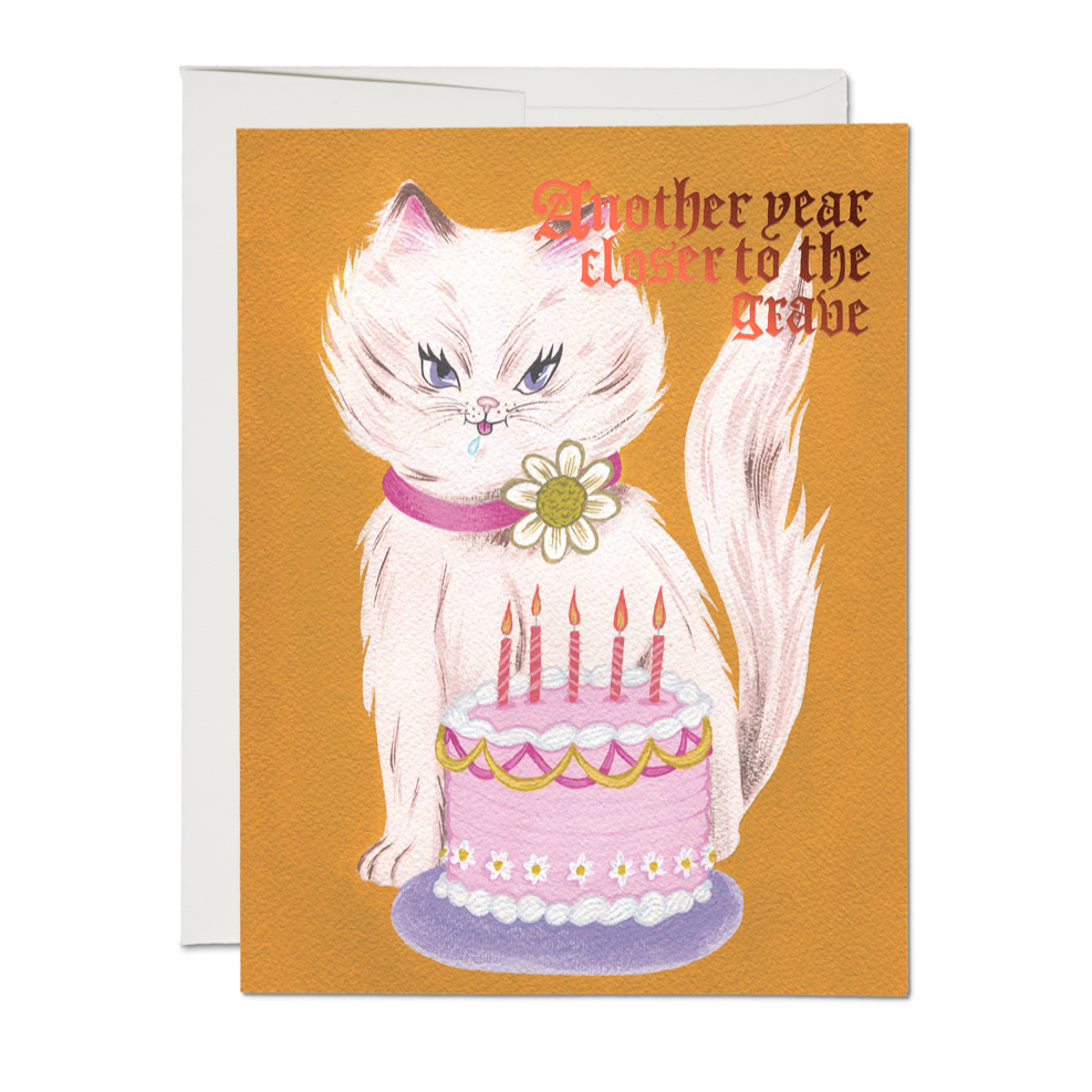 Kitty and Cake Birthday