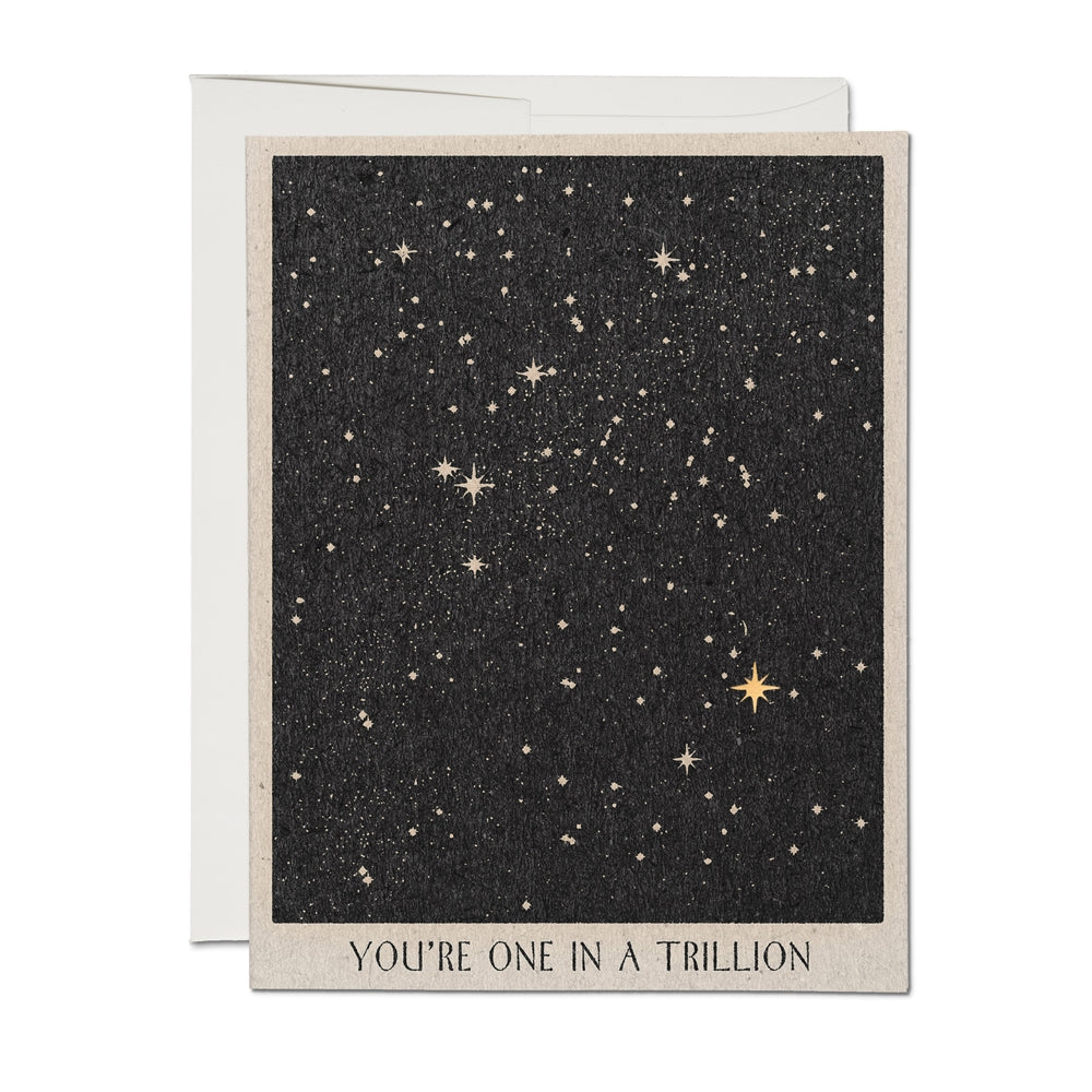 One in a Trillion